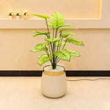 Artificial Dieffenbachia Floor Plant 3ft for Home Decor