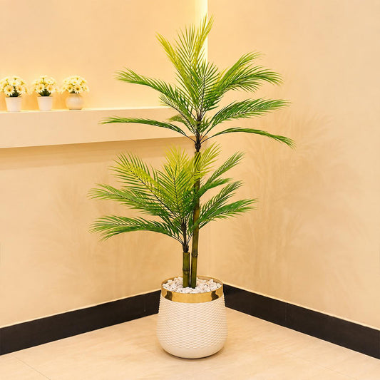 Artificial Kangi Palm Plant with 2 Stem Bunch for Home Decor