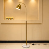 Antique Study Floor Lamp