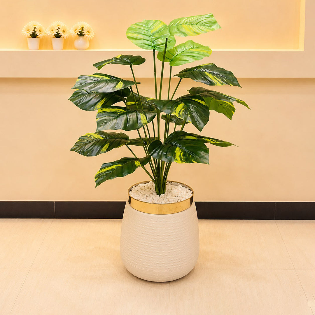 Artificial Money Plant 3ft for Home Decor | Majestic Lamps