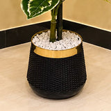 Artificial Money Plant with 2 Stem Bunch for Home Decor