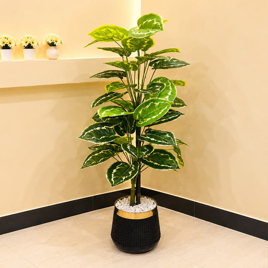 Artificial Money Plant with 2 Stem Bunch for Home Decor