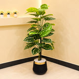 Artificial Money Plant with 2 Stem Bunch for Home Decor