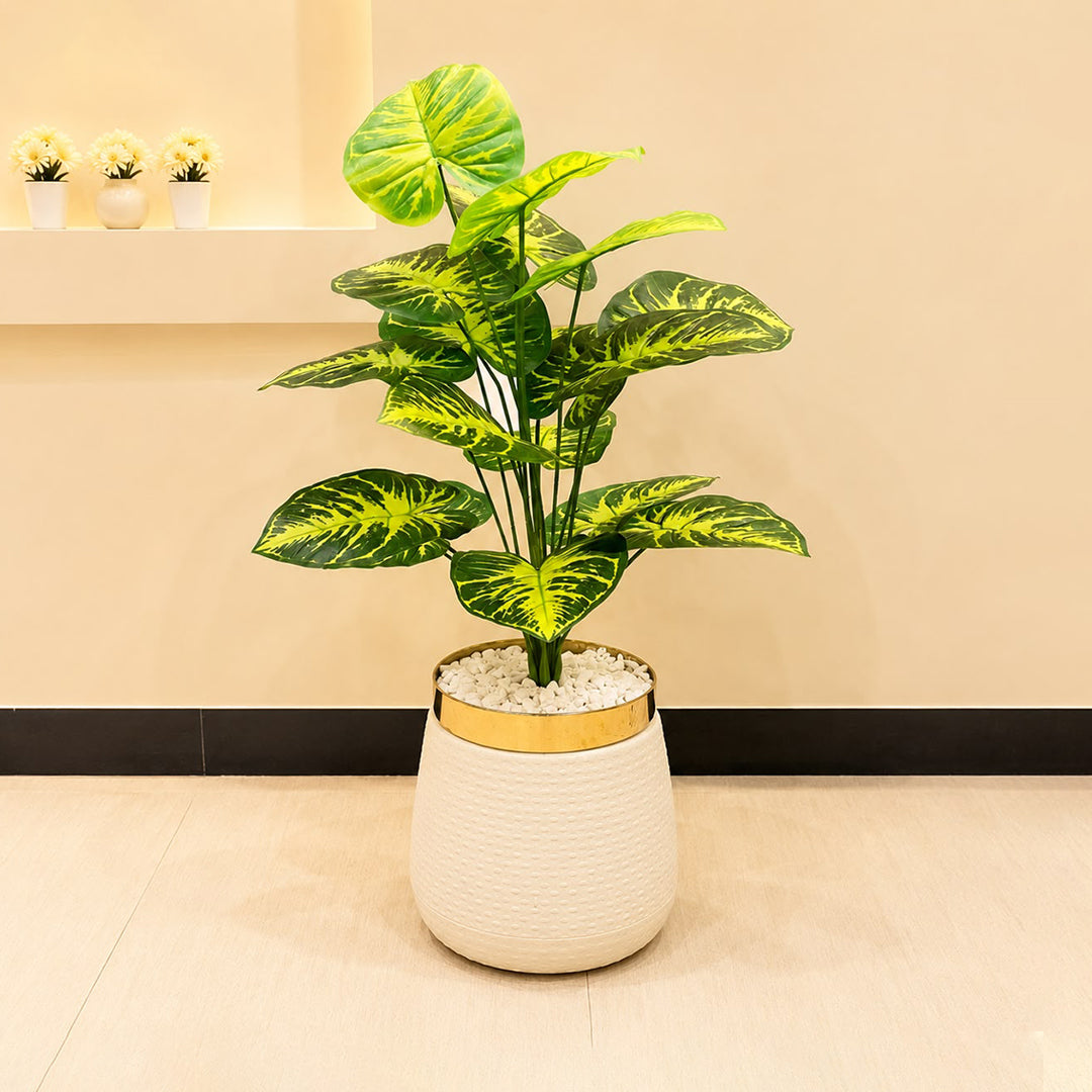 Artificial Zebra Money Plant 3ft for Home Decor