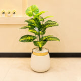 Artificial Zebra Money Plant 3ft for Home Decor