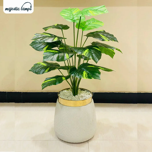 Artificial Money Plant 3ft for Home Decor | Majestic Lamps