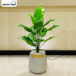 Artificial Banana Floor Plant 3ft for Home Decor