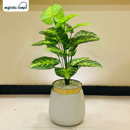 Artificial Zebra Money Plant 3ft for Home Decor