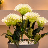 Elegant White Chrysanthemum Artificial Flower Pot
