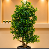 Artificial Bonsai-Style Green Tree with Matte Black Planter