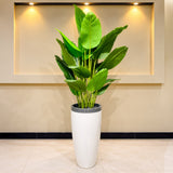 Artificial Tropical Green Plant with Premium White Planter [fiber]
