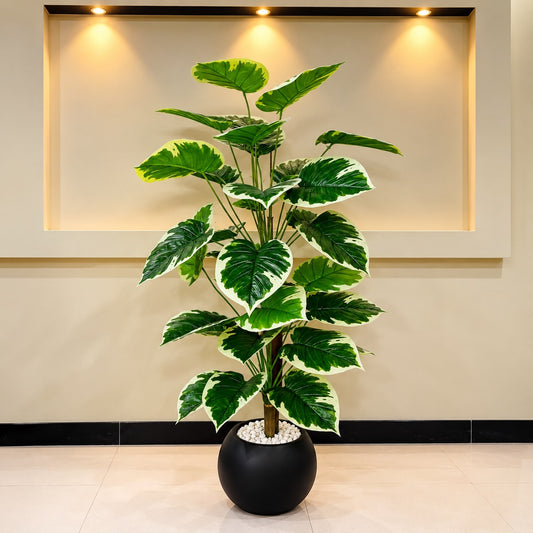 Artificial Variegated Green Floor Plant – Premium Black Planter
