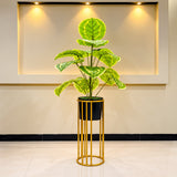 Artificial Calathea-Style Floor Plant with Black &amp; Gold Planter