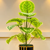 Artificial Calathea-Style Floor Plant with Black &amp; Gold Planter