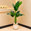 Artificial Bird of Paradise Plant with White &amp; Gold Planter