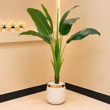 Artificial Bird of Paradise Plant with White &amp; Gold Planter