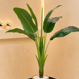 Artificial Bird of Paradise Plant with White &amp; Gold Planter