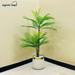 Artificial Kangi Palm Plant with 2 Stem Bunch for Home Decor