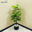Artificial Money Plant with 2 Stem Bunch for Home Decor