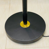 study black floor lamp
